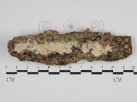 登錄號:F0030734藏品圖，第1張