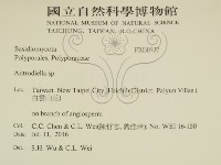 登錄號:F0030737藏品圖，第2張