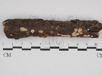 登錄號:F0030737藏品圖，第1張