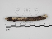 登錄號:F0030738藏品圖，第1張