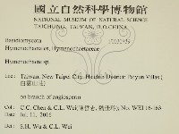 刺革菌屬藏品圖，第2張