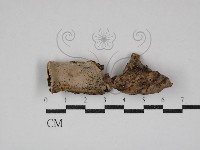 登錄號:F0030740藏品圖，第1張