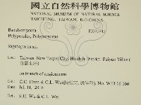 硬孔菌屬藏品圖，第2張