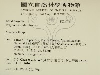 登錄號:F0030743藏品圖，第2張