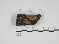 登錄號:F0030743藏品圖，第1張