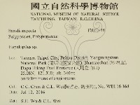 登錄號:F0030744藏品圖，第2張