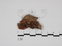 登錄號:F0030744藏品圖，第1張