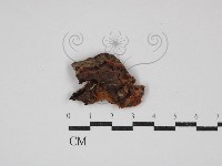 登錄號:F0030744藏品圖，第3張