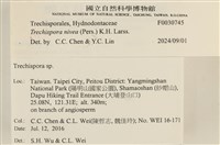 登錄號:F0030745藏品圖，第3張