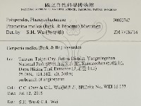 登錄號:F0030747藏品圖，第3張