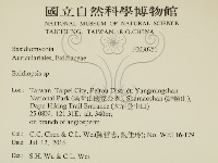 登錄號:F0030751藏品圖，第2張