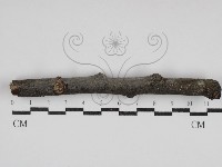 登錄號:F0030751藏品圖，第1張