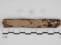 登錄號:F0030752藏品圖，第1張