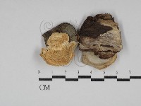 登錄號:F0030756藏品圖，第1張