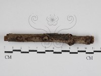 登錄號:F0030758藏品圖，第1張