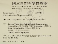 登錄號:F0030759藏品圖，第2張