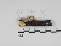 登錄號:F0030760藏品圖，第1張