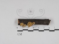 登錄號:F0030760藏品圖，第3張