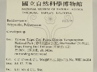 登錄號:F0030761藏品圖，第2張