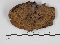 登錄號:F0030761藏品圖，第1張