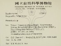 多年臥孔菌屬藏品圖，第2張