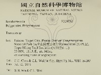 栓菌屬藏品圖，第2張