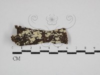 登錄號:F0030767藏品圖，第1張