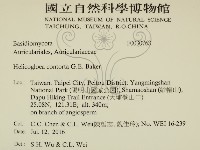 登錄號:F0030768藏品圖，第2張