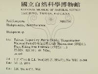 革菌屬藏品圖，第2張
