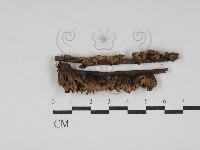 登錄號:F0030770藏品圖，第1張