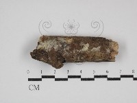 登錄號:F0030772藏品圖，第1張