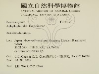 登錄號:F0030773藏品圖，第2張