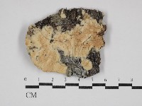 登錄號:F0030774藏品圖，第1張