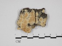 登錄號:F0030775藏品圖，第1張