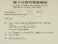 射脈菌屬藏品圖，第2張