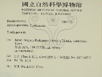 登錄號:F0030778藏品圖，第2張