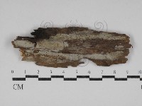 登錄號:F0030778藏品圖，第1張