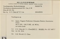 登錄號:F0030778藏品圖，第3張
