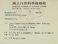 顯絲菌屬藏品圖，第2張