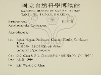 盤革菌屬藏品圖，第2張