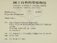 骨皮菌屬藏品圖，第2張