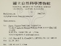 靈芝屬藏品圖，第2張