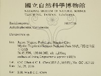 登錄號:F0030786藏品圖，第2張