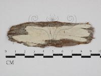 登錄號:F0030786藏品圖，第1張