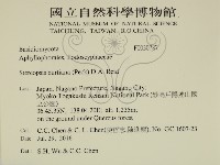 登錄號:F0030787藏品圖，第2張