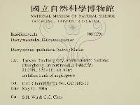 登錄號:F0030791藏品圖，第2張