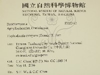 登錄號:F0030793藏品圖，第2張