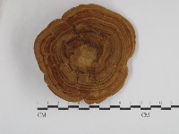 登錄號:F0030795藏品圖，第1張