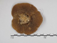 登錄號:F0030795藏品圖，第3張