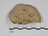 登錄號:F0030798藏品圖，第1張